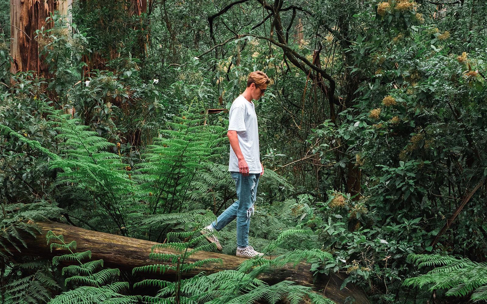 Fjordson awarded "Best vegan watches" by PETA Menswear Awards 2018